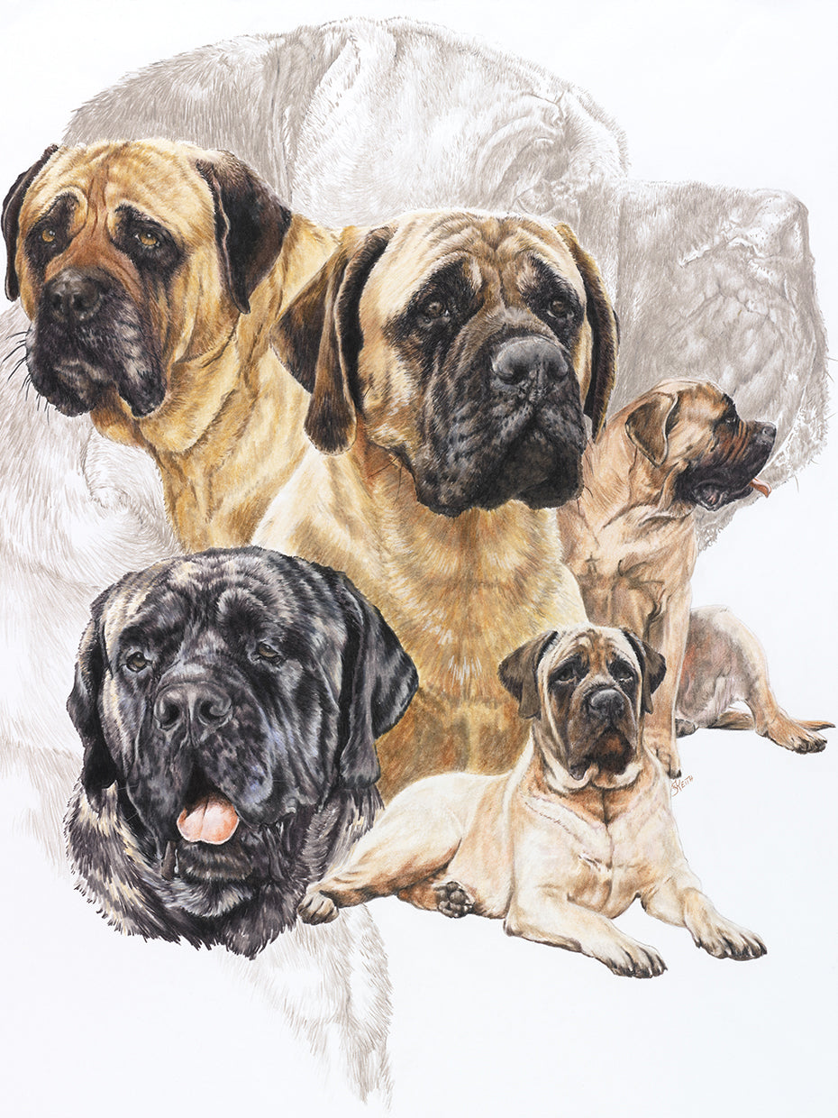 Bull Mastiff with Ghost