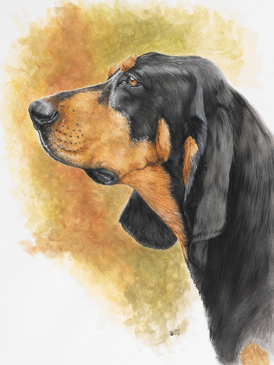 Black and Tan CoonHound
