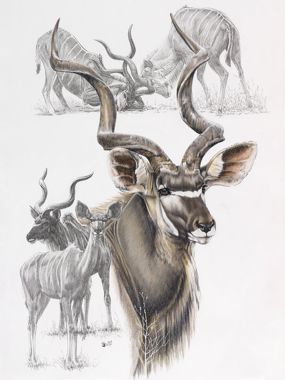 Kudu