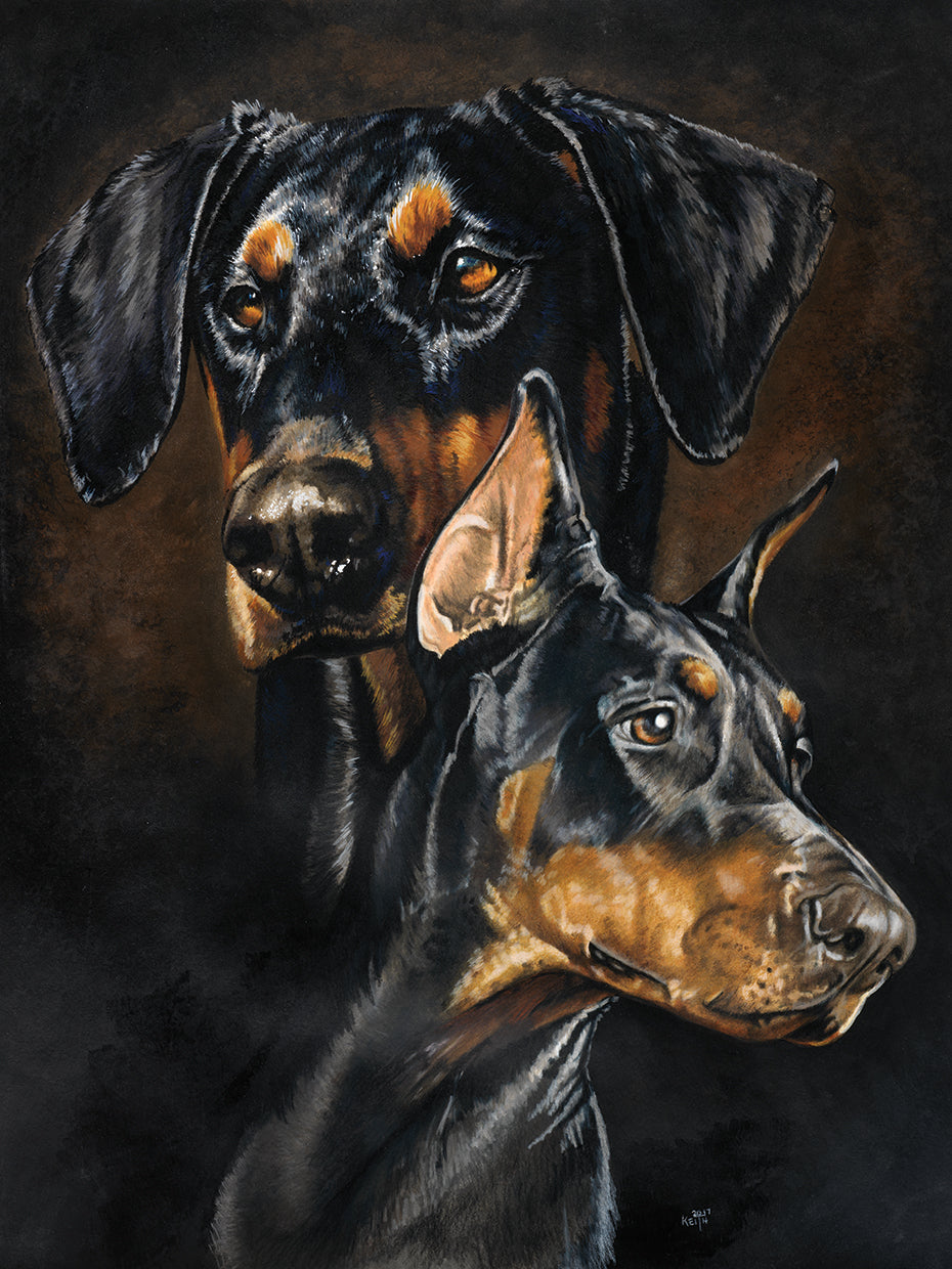 Doberman Pinscher