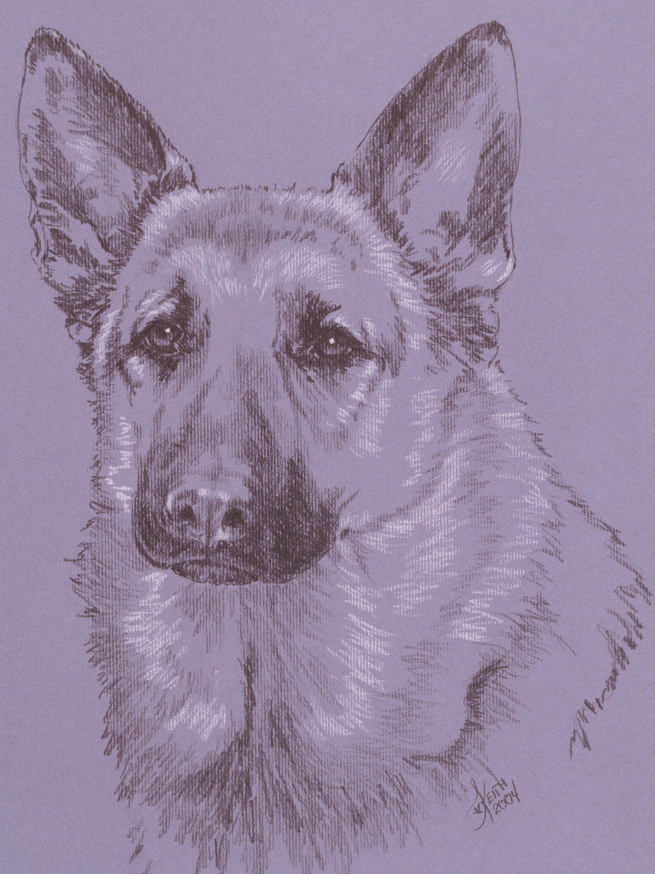 German Shepherd 1