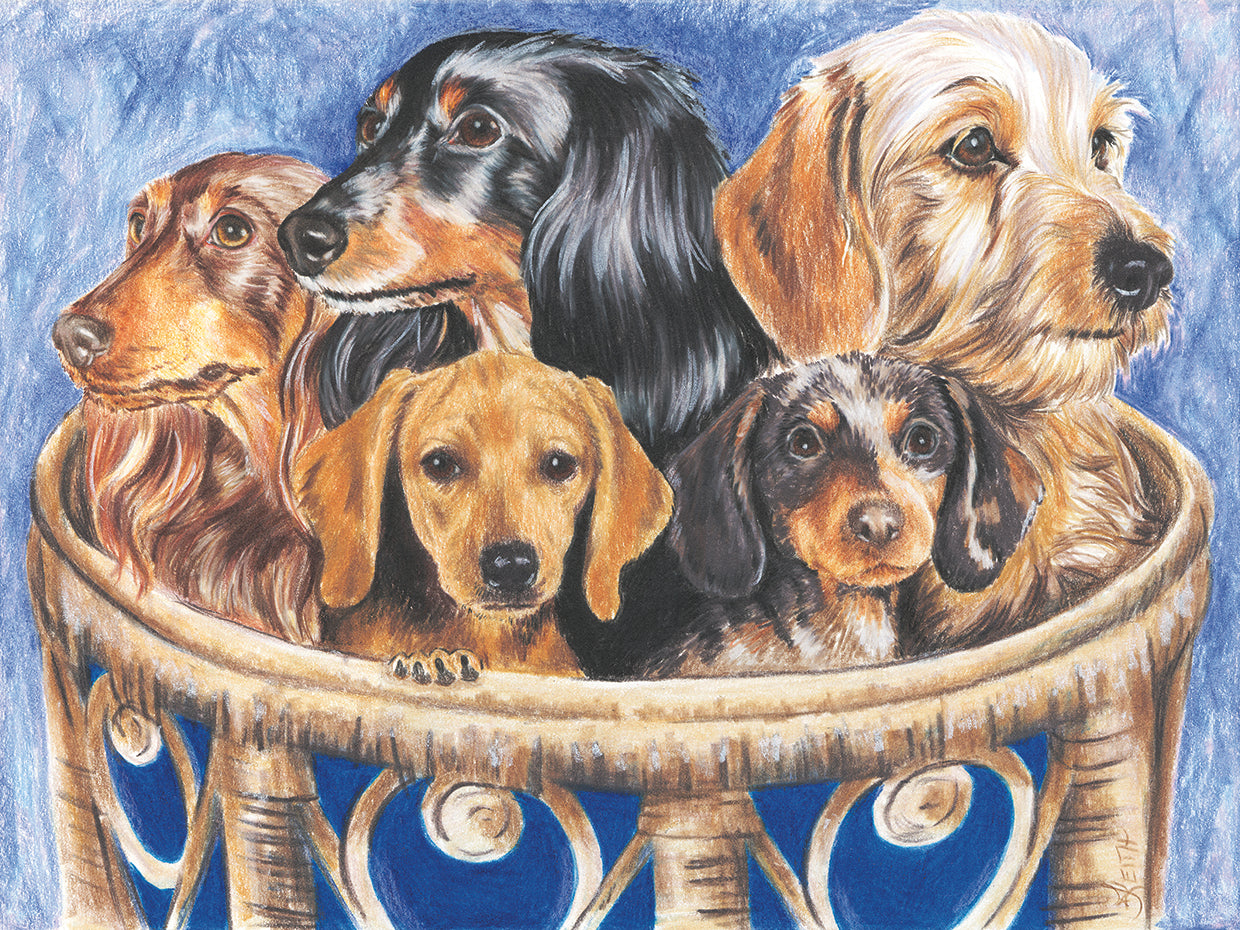 Dachsund In A Basket