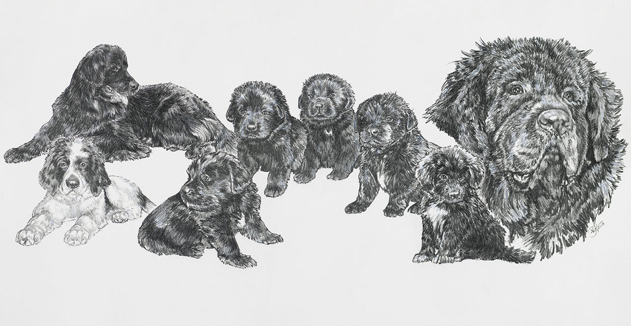 Growing Up Newfoundland