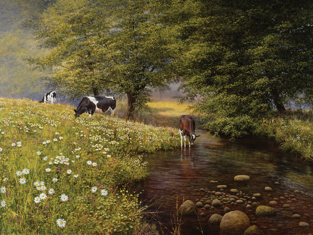 Cattle By The Stream