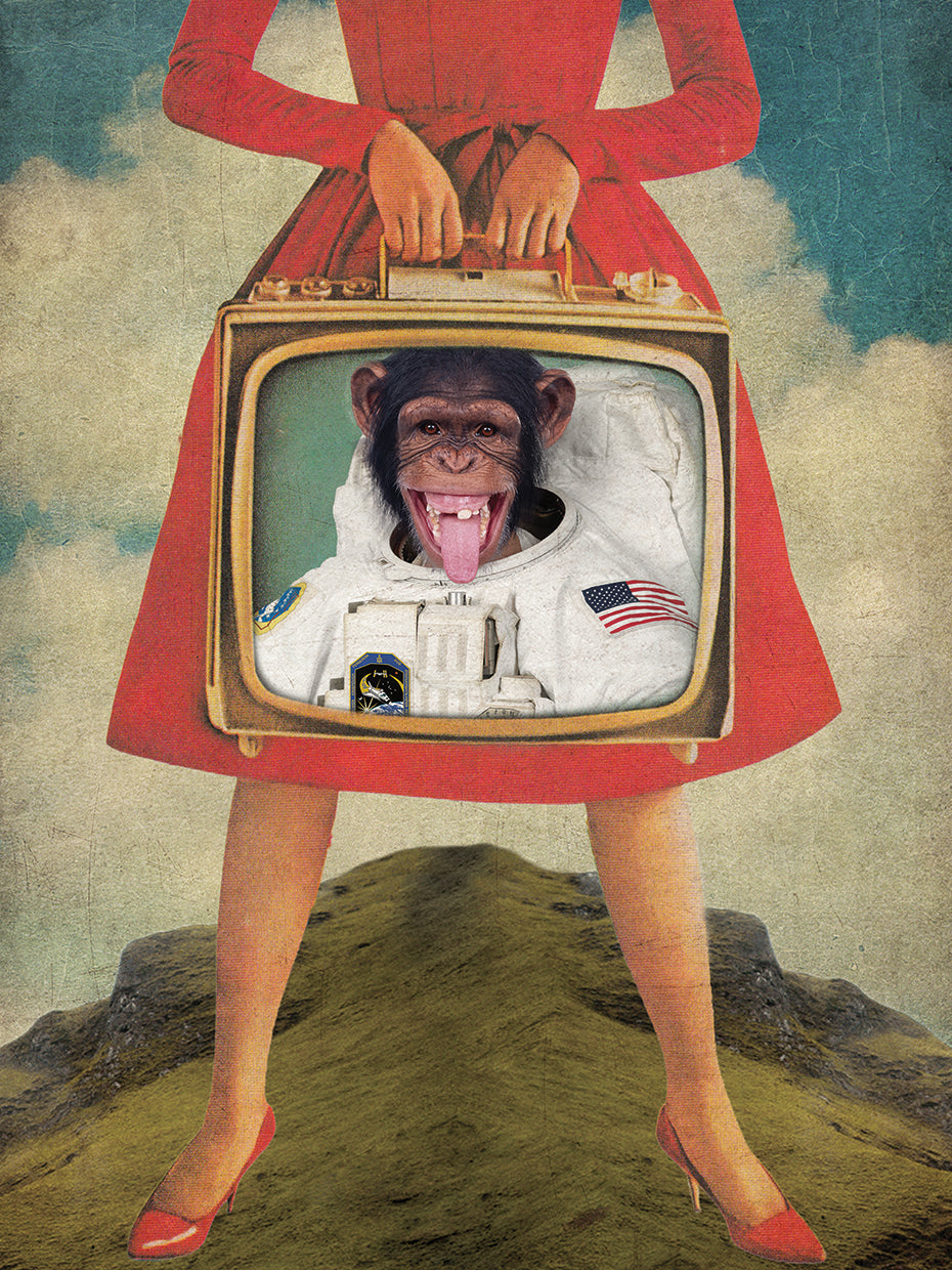 Monkey See Monkey Do