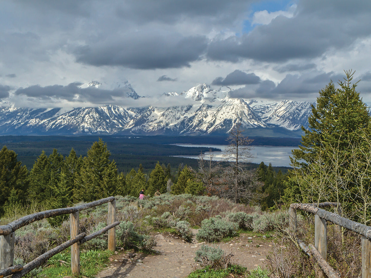 Jackson Lake Overlook GTNP