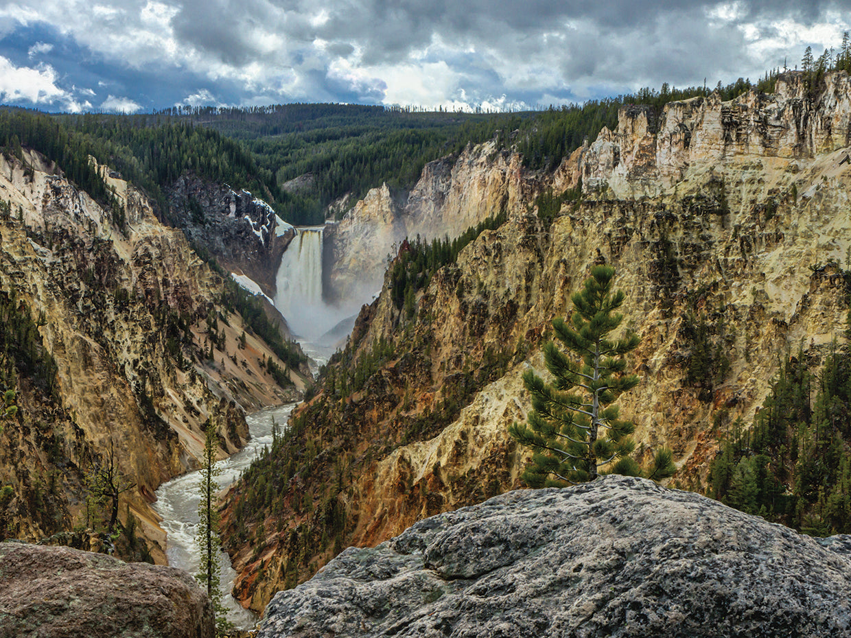 Lower Falls YNP Grand Canyon
