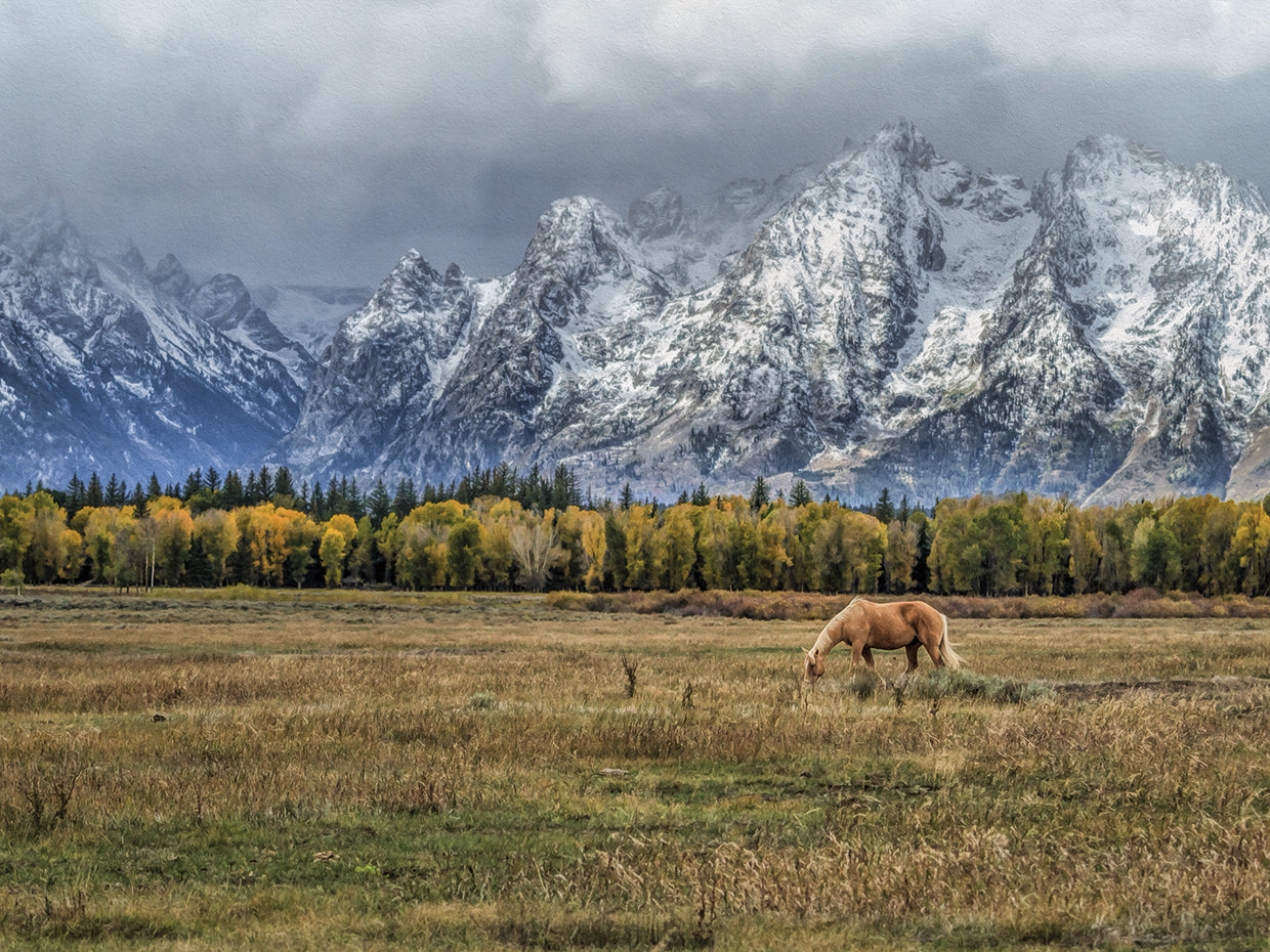 Fine Dining In The Tetons