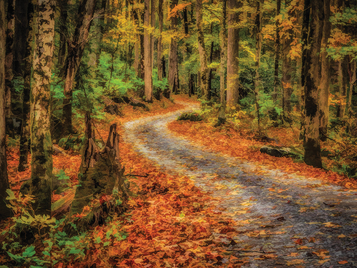 Path In Greenbrier Watercolor