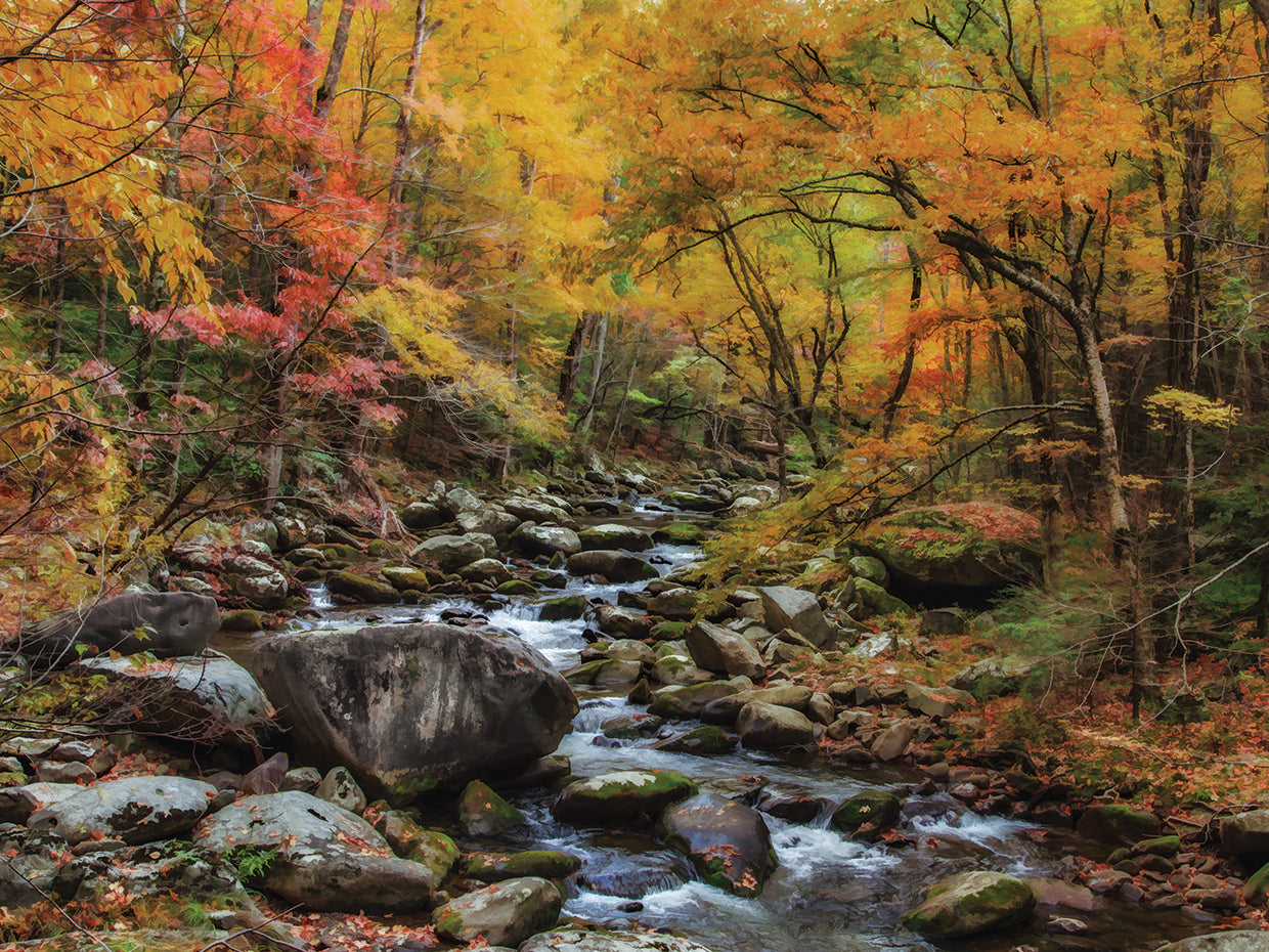Tremont Stream Watercolor