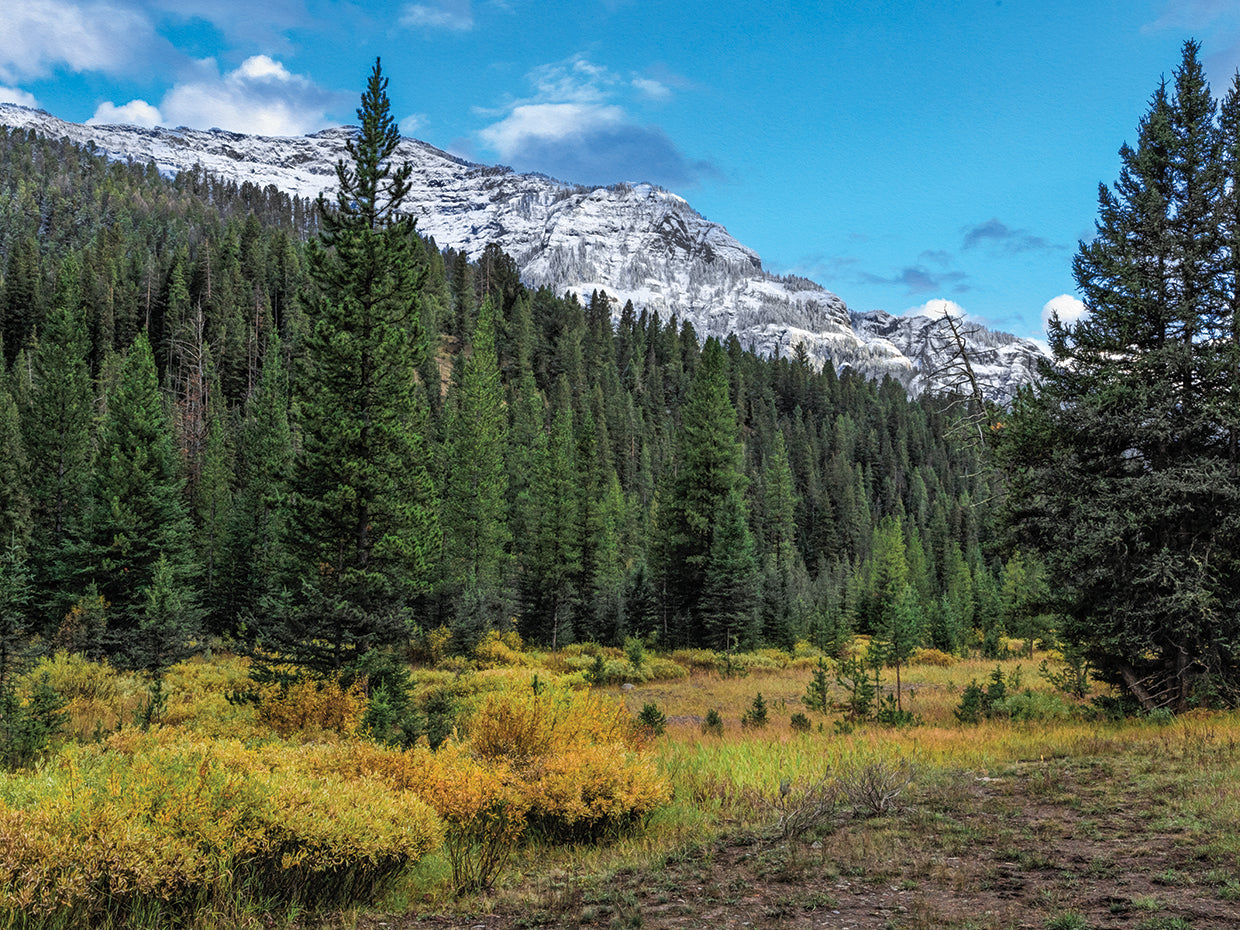 Yellowstone Sbc Landscape