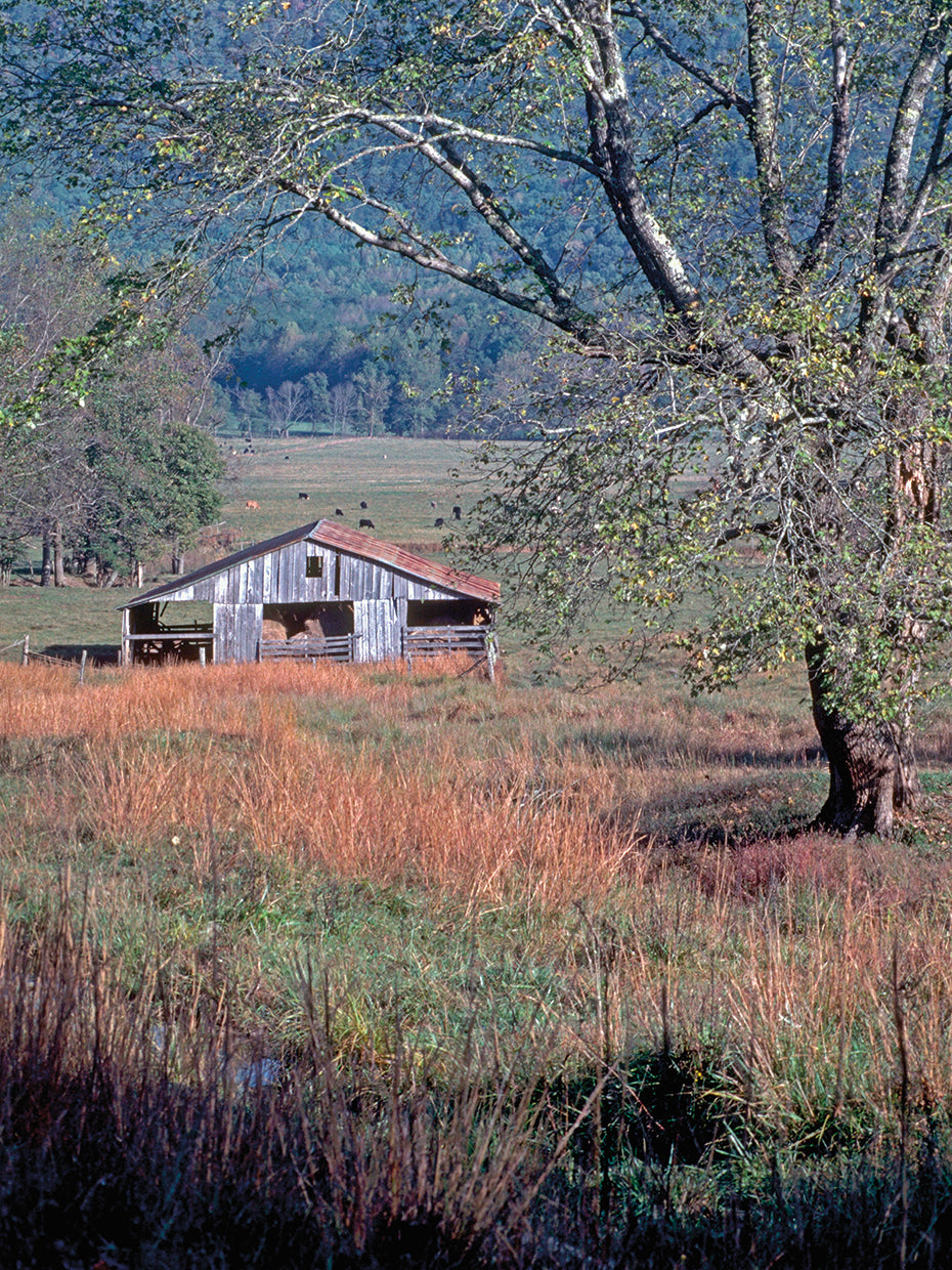 Hay Barn