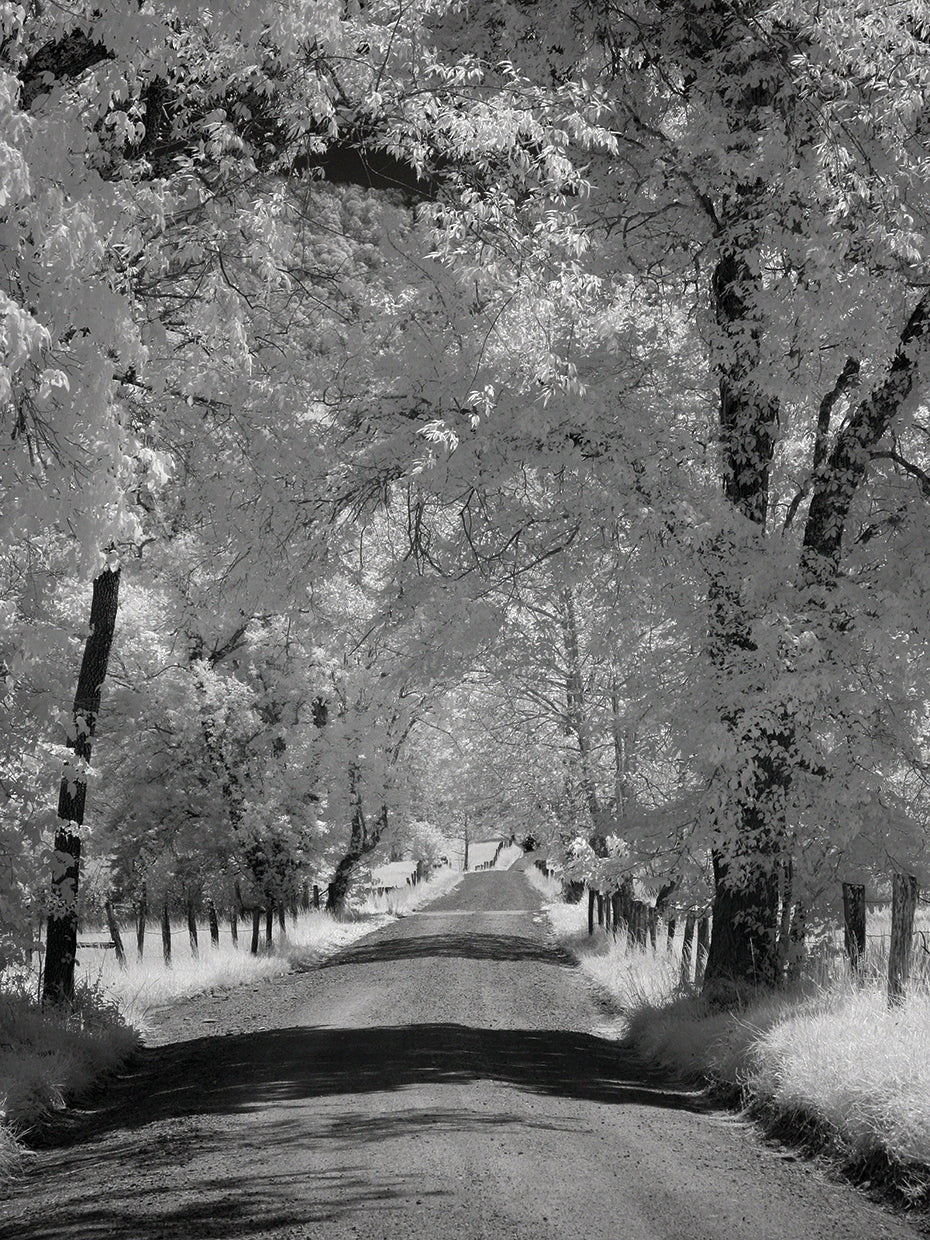 B&W Road
