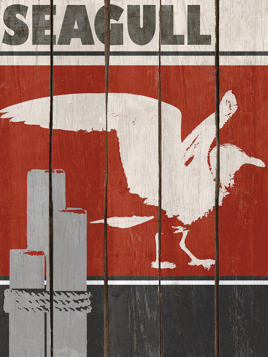 Seagull
