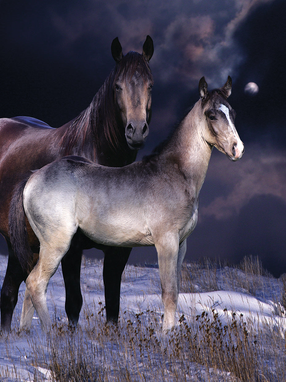 Fantasy Horses 27