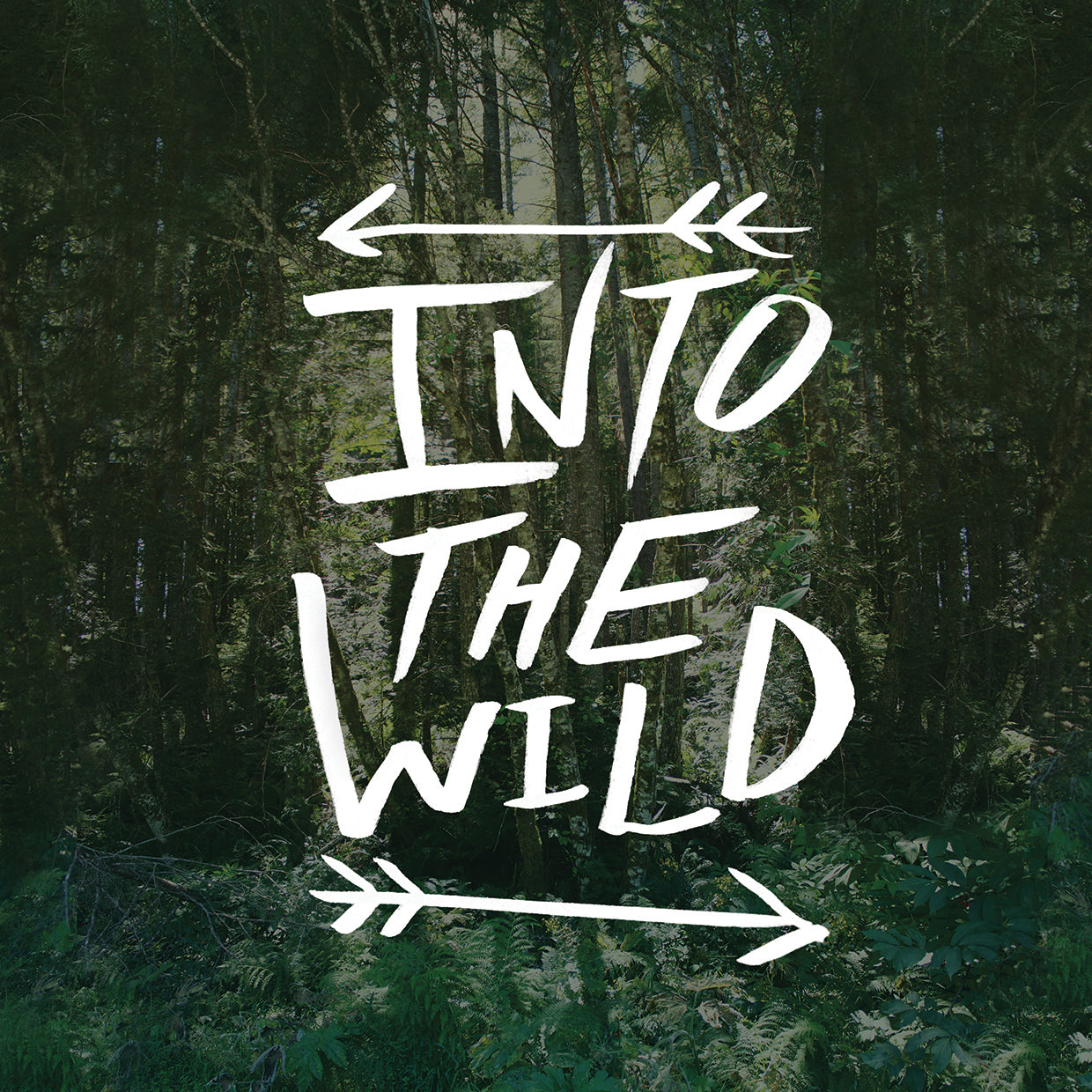 Into the Wild