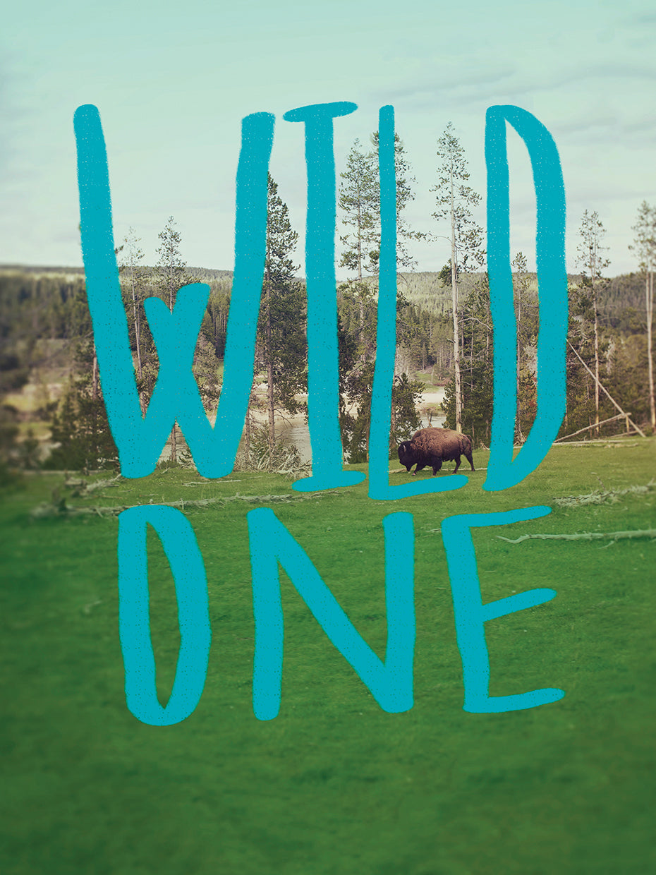 Wild One Art