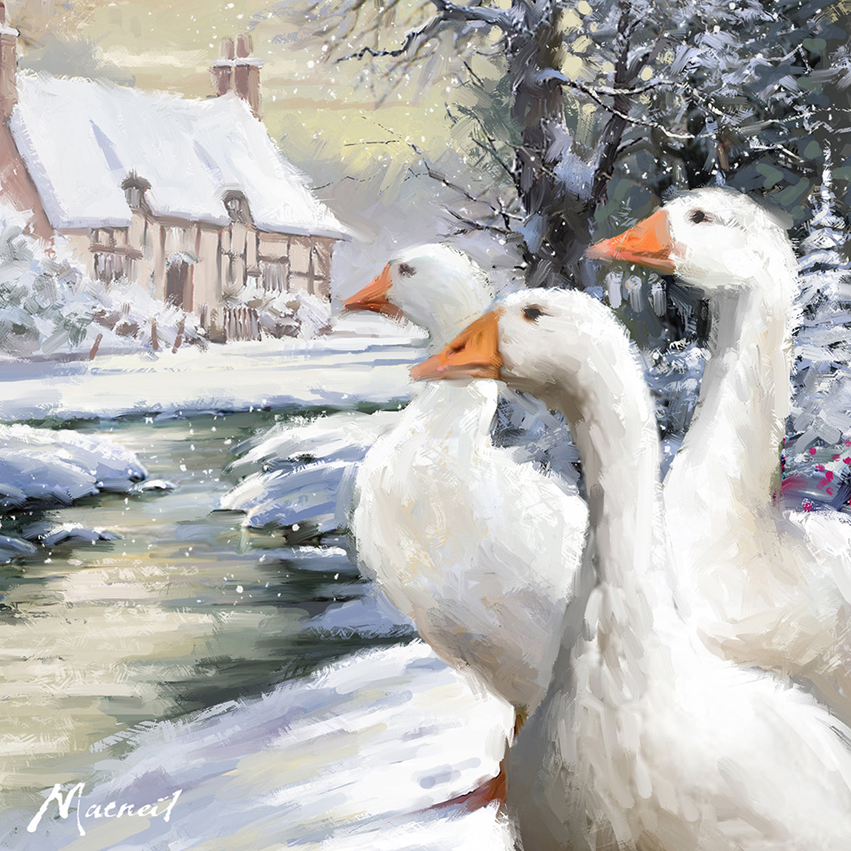 Geese By Stream