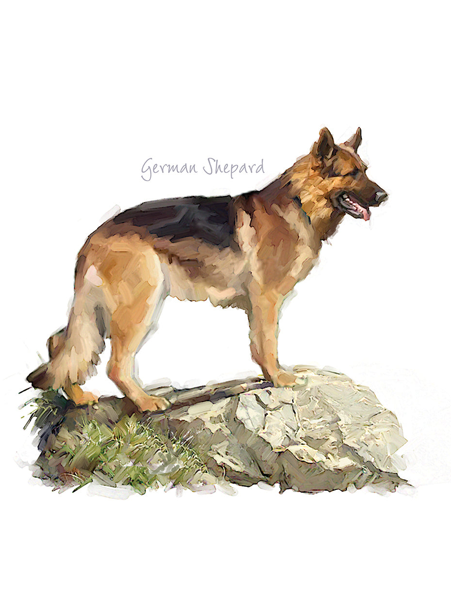 German Shepard