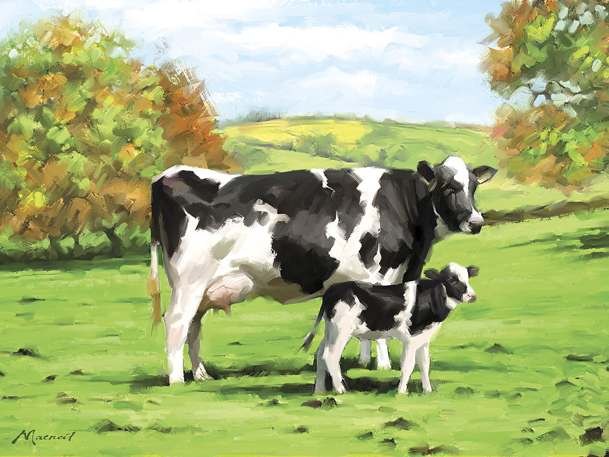 Cow And Calf