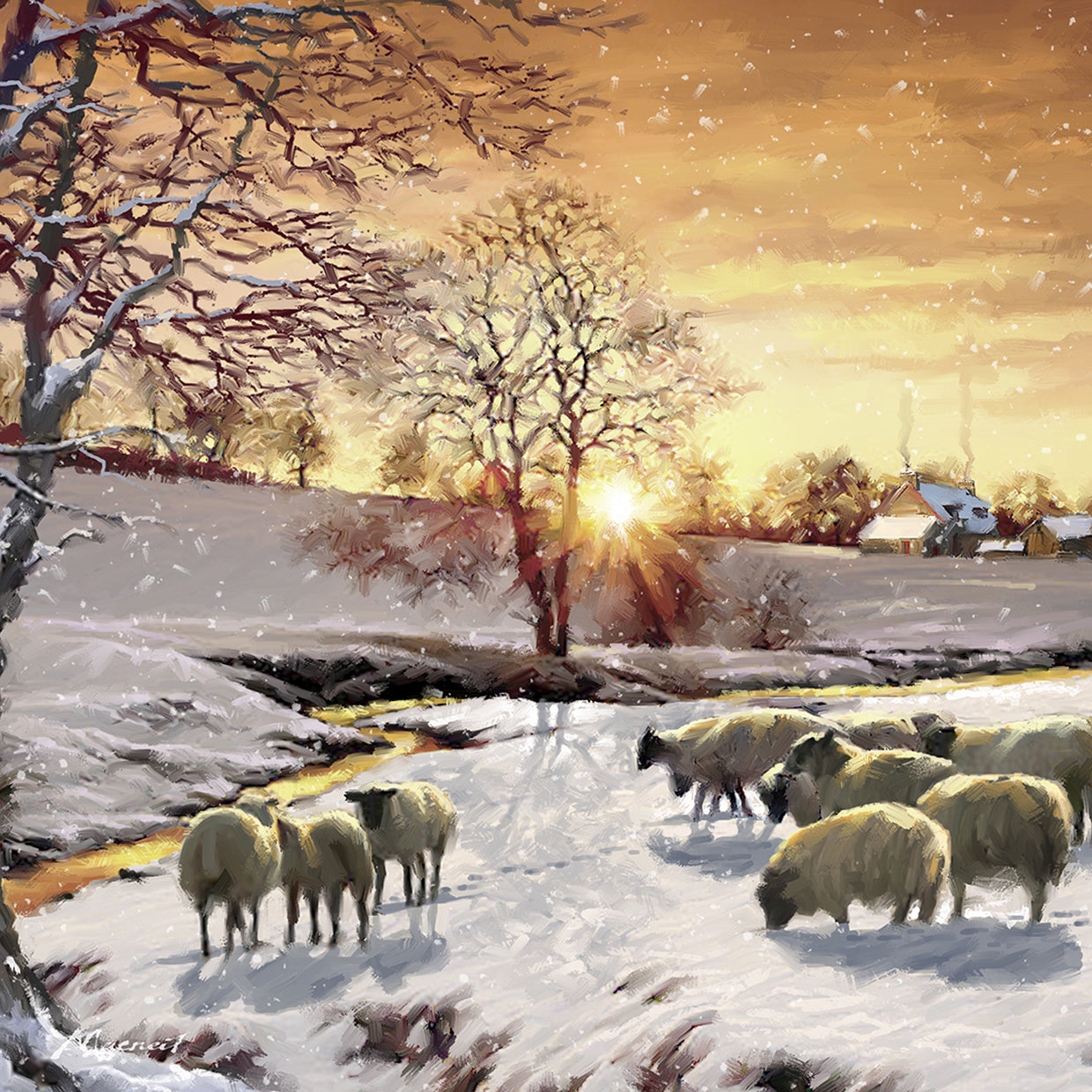 winter sheep