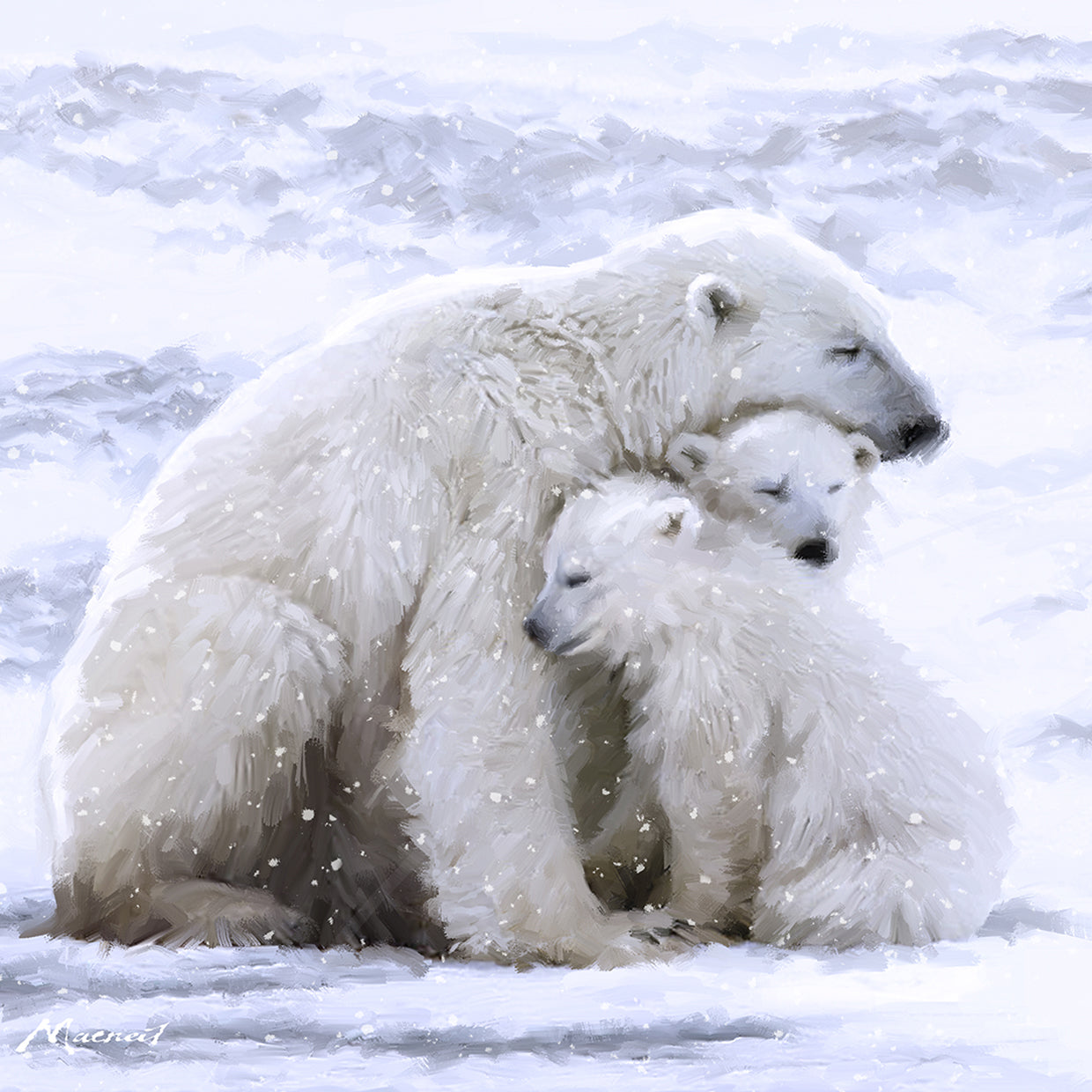 polar bear cubs