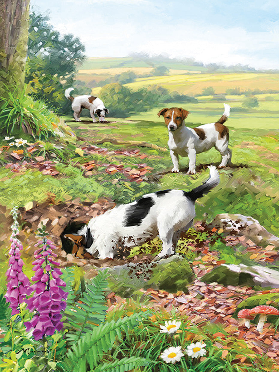 Jack Russels handcrafted art work on canvas or framed canvas prints by The Macneil Studio