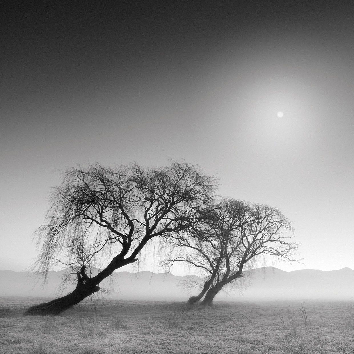 Reverencia handcrafted art work on canvas or framed canvas prints by Moises Levy