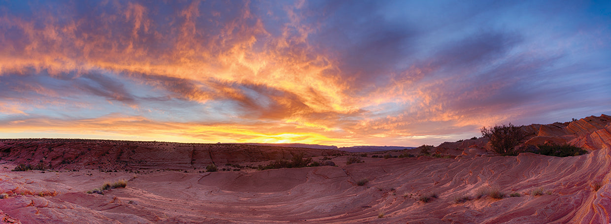 Fire handcrafted art work on canvas or framed canvas prints from Fine Art Canvas by Moises Levy