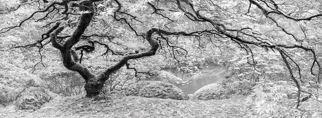 The Tree handcrafted art work on canvas or framed canvas prints by Moises Levy