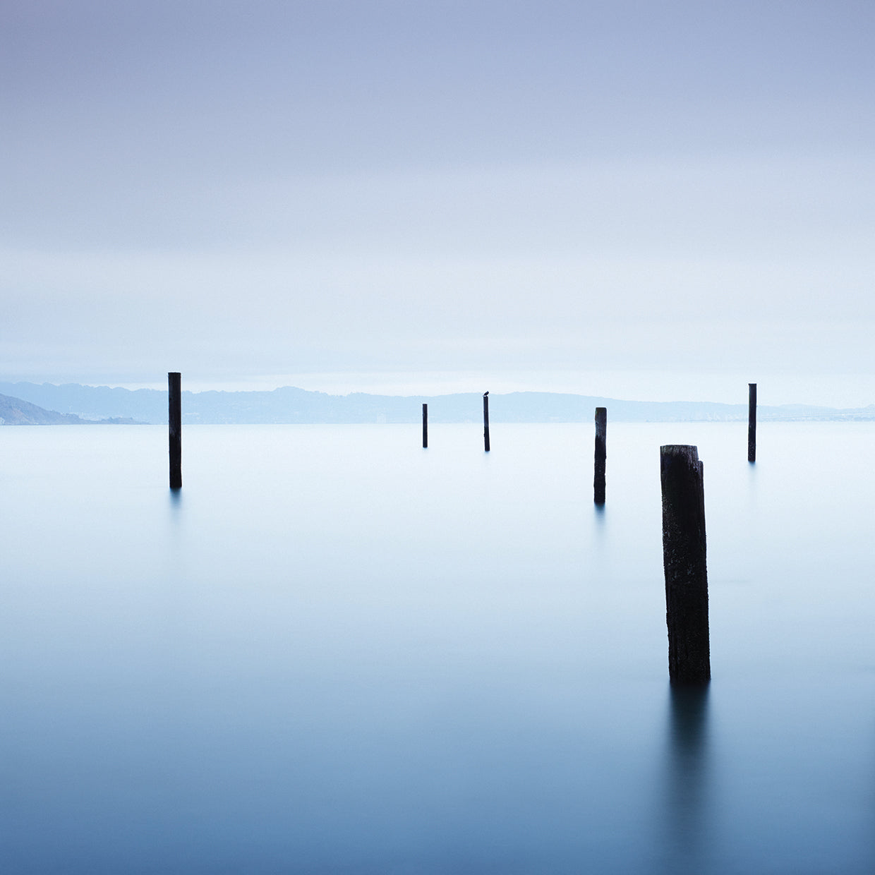 6 Postes en Sausalito handcrafted art work on canvas or framed canvas prints by Moises Levy