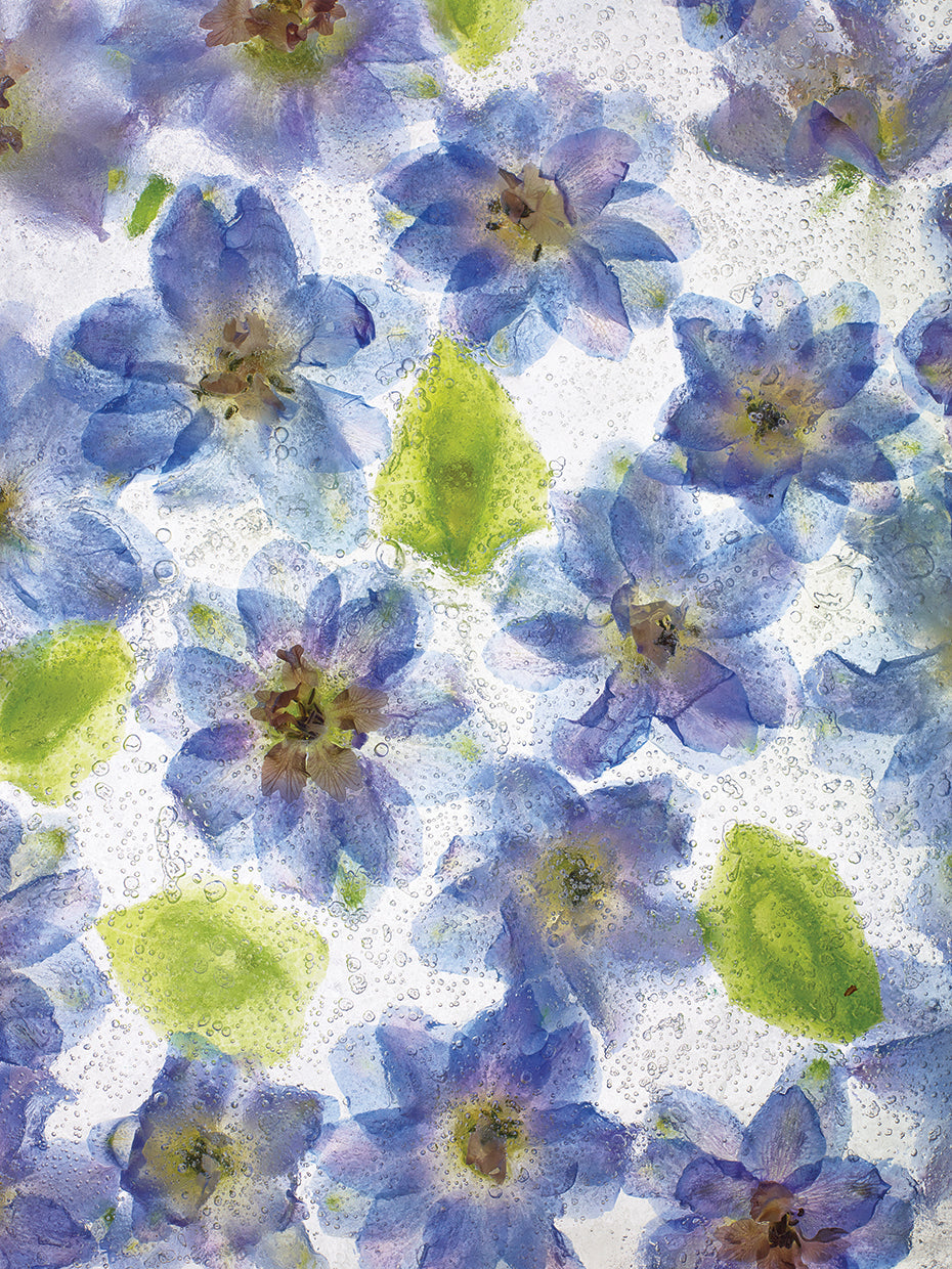Flores Congeladas # 3 handcrafted art work on canvas or framed canvas prints by Moises Levy