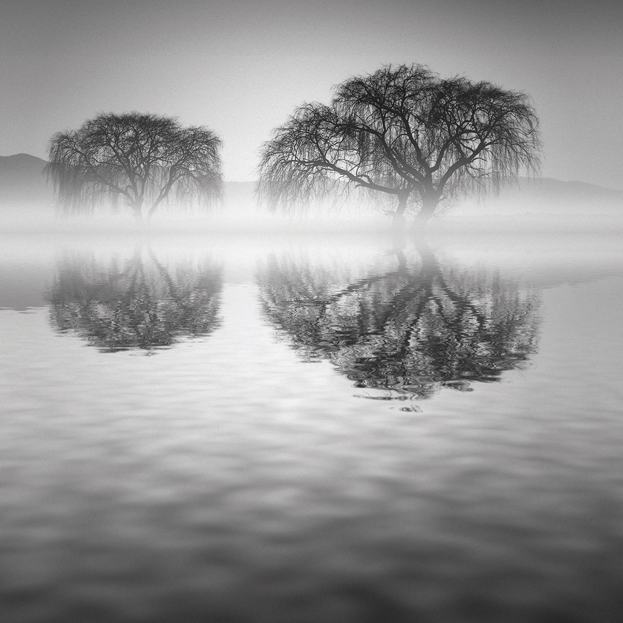 Sauces 1 handcrafted art work on canvas or framed canvas prints by Moises Levy