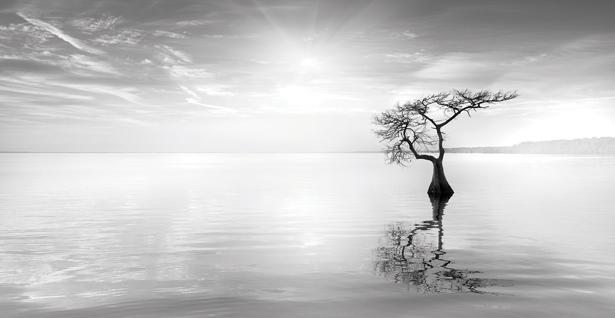 Judge II handcrafted art work on canvas or framed canvas prints by Moises Levy