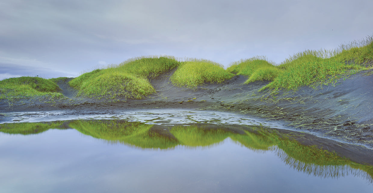 Prados Verdes handcrafted art work on canvas or framed canvas prints by Moises Levy