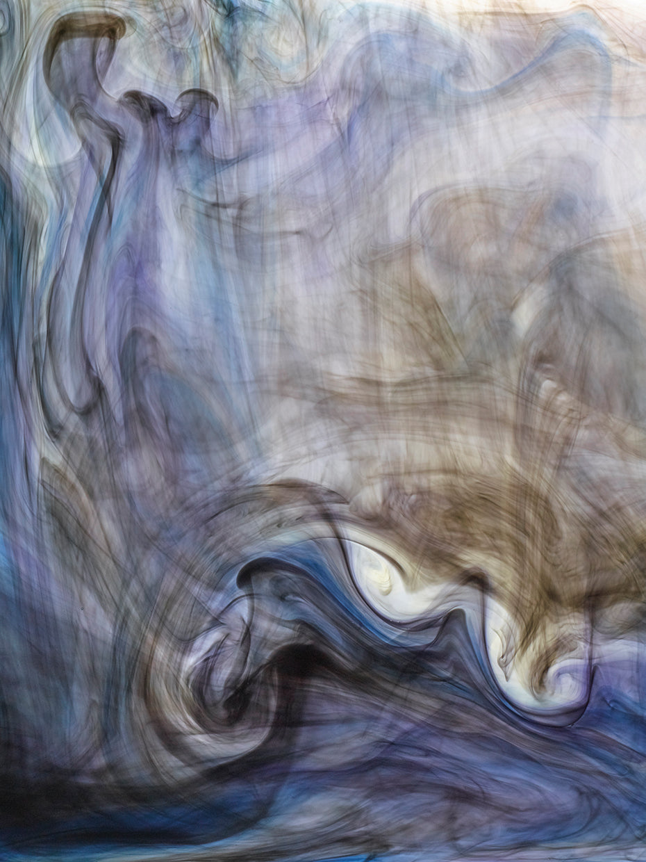 Ephemeral Beauty 2 handcrafted art work on canvas or framed canvas prints by Moises Levy