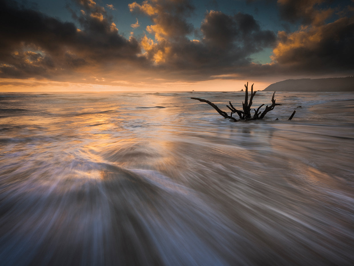 Sunset at Cannon Beach handcrafted art work on canvas or framed canvas prints by Moises Levy