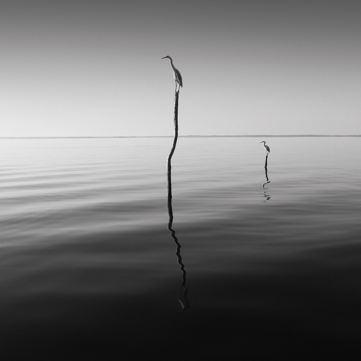 Father And Son handcrafted art work on canvas or framed canvas prints by Moises Levy