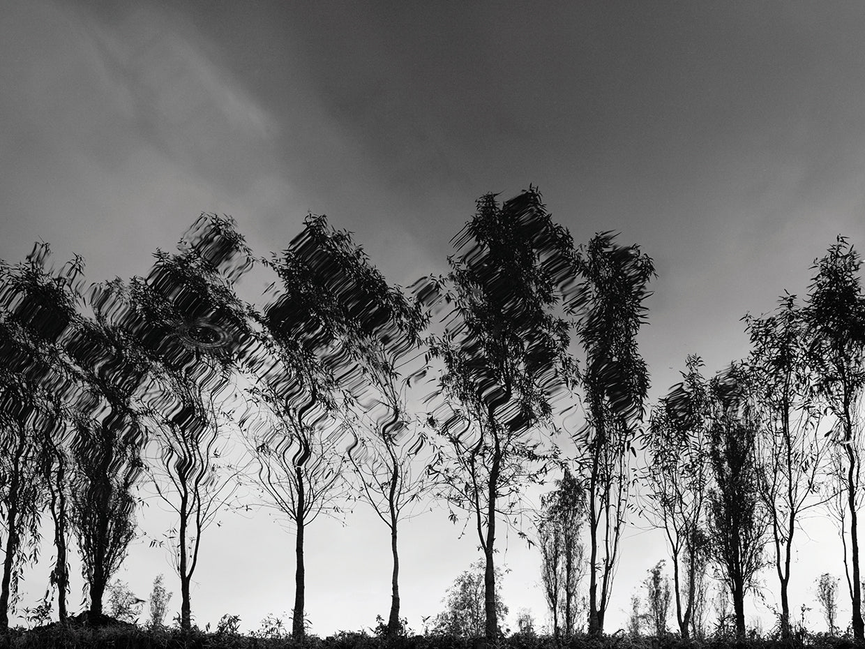 Xochimilco handcrafted art work on canvas or framed canvas prints by Moises Levy