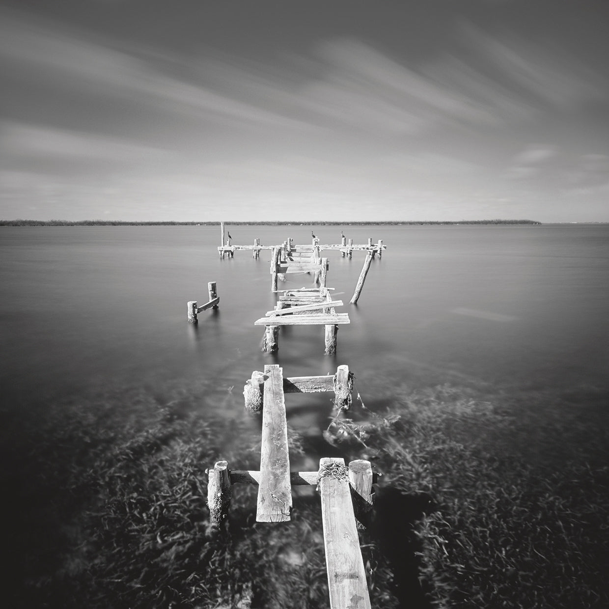 After Wilma handcrafted art work on canvas or framed canvas prints by Moises Levy