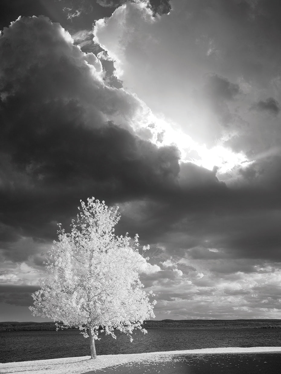 Illumination, Baraga, Michigan ˜10