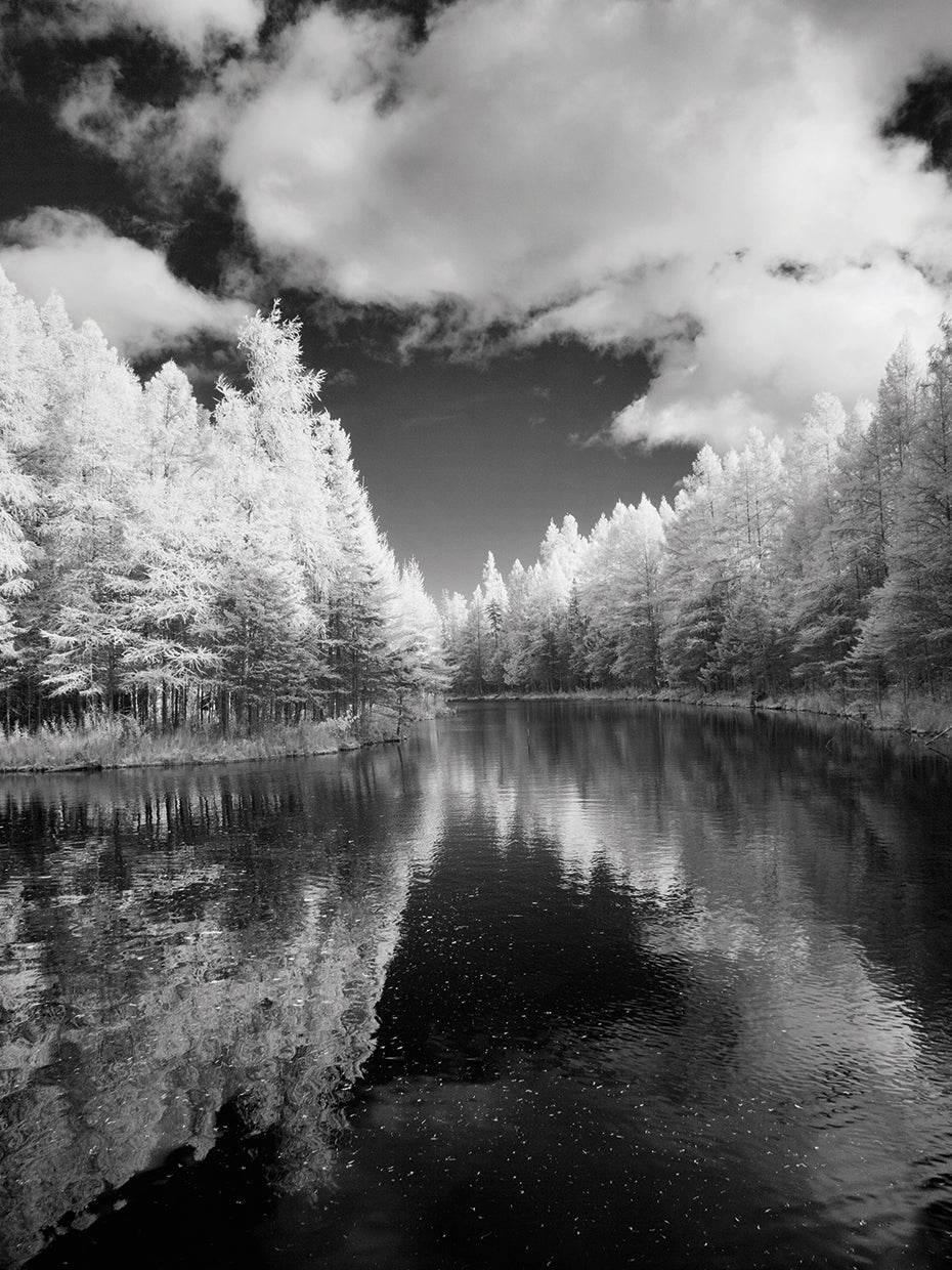 Mirror Of Heaven, Palms Book State Park, Michigan '12
