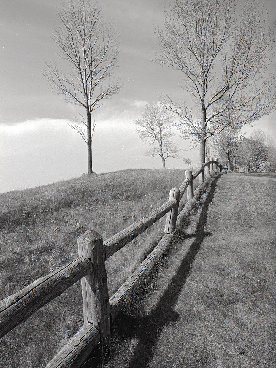 Fences And Trees, Empire, Michigan
