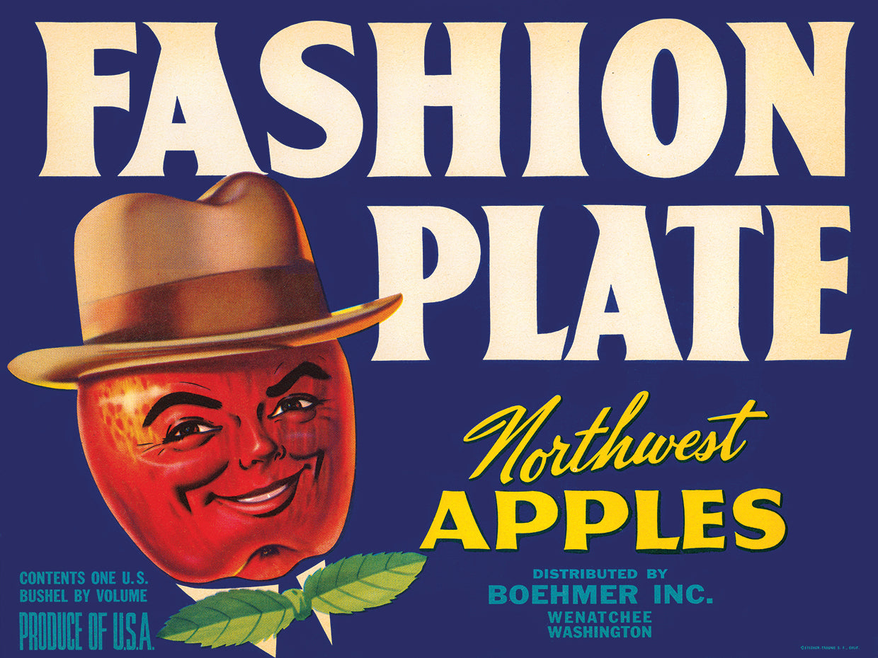 Arte de la lona de las manzanas de la placa de la moda
