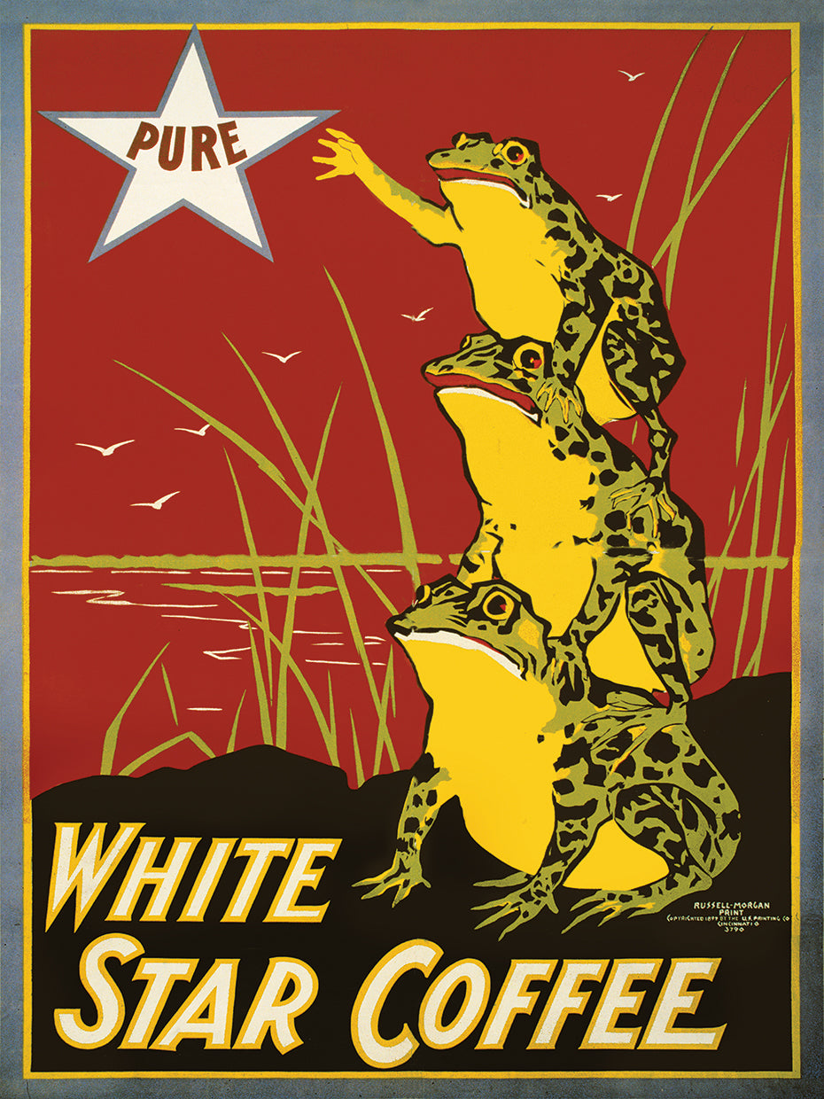 Pure White Star Coffee, arte en lienzo de ranas
