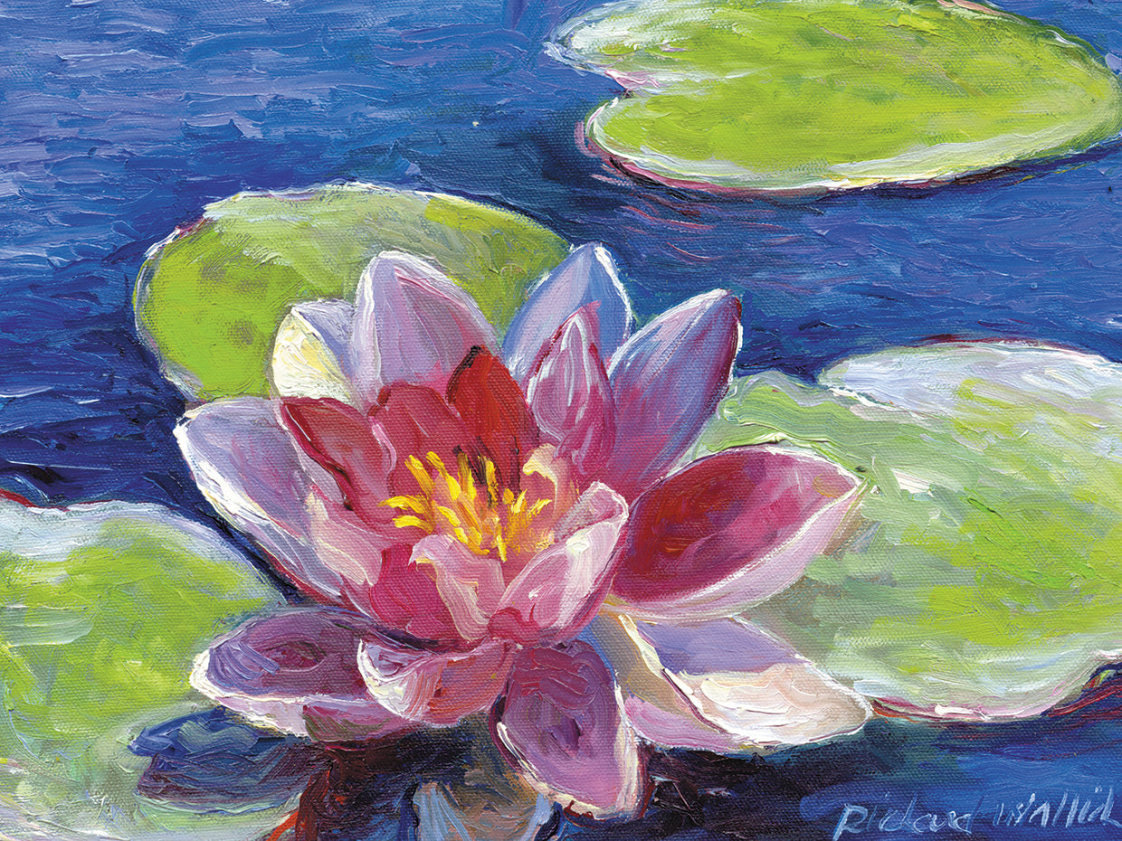 lily pad flower colors Richard Wallich's Lily Pad Flowers Canvas Art Prints