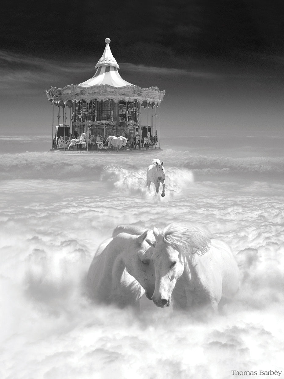 Horsing Around Vertical