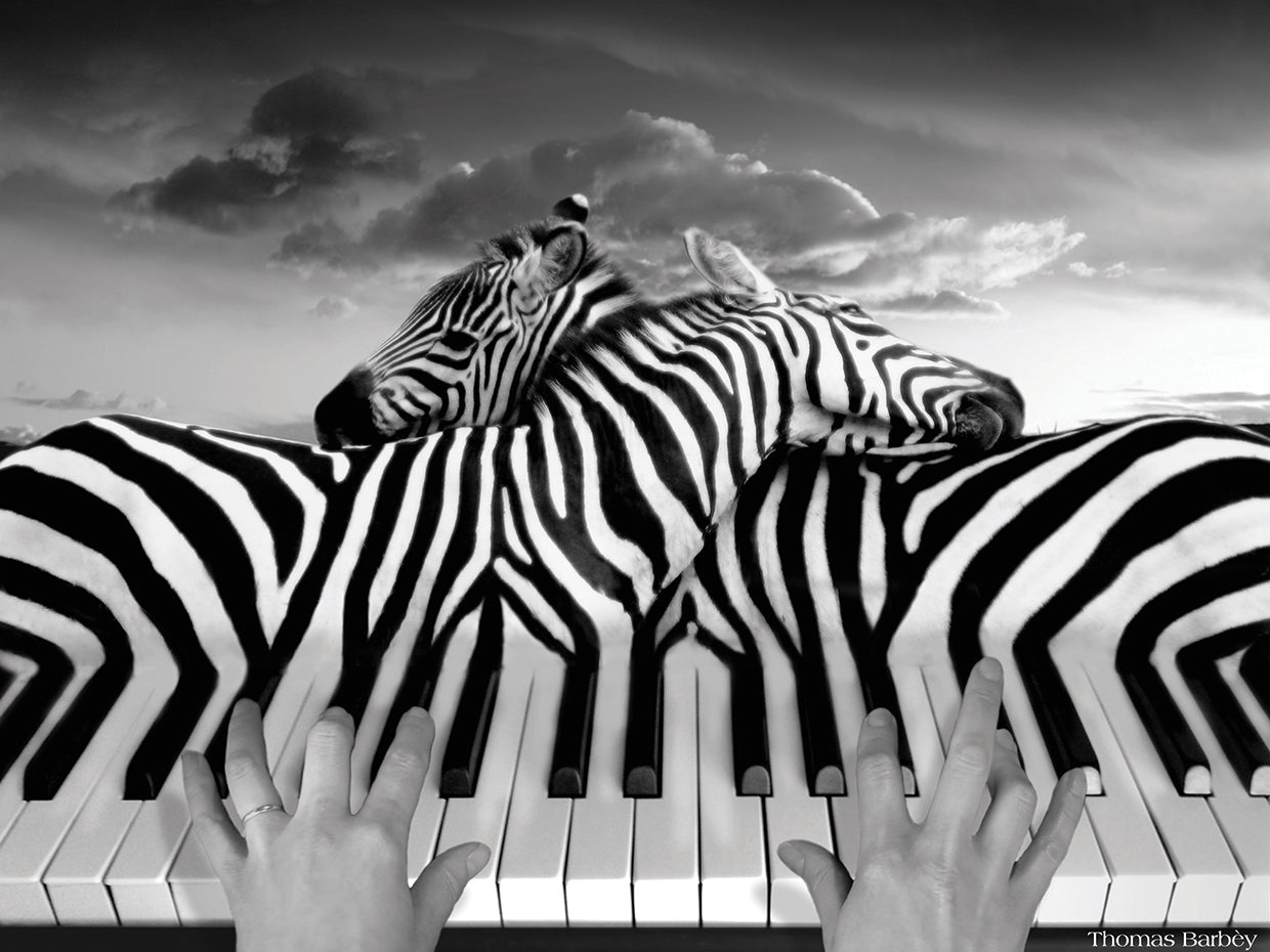Thomas Barbey's Piano Peace Canvas Art Prints | Fine Art Canvas