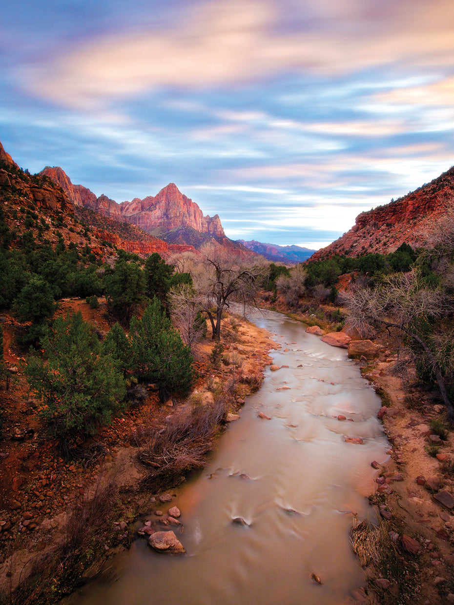 Zion River Vert