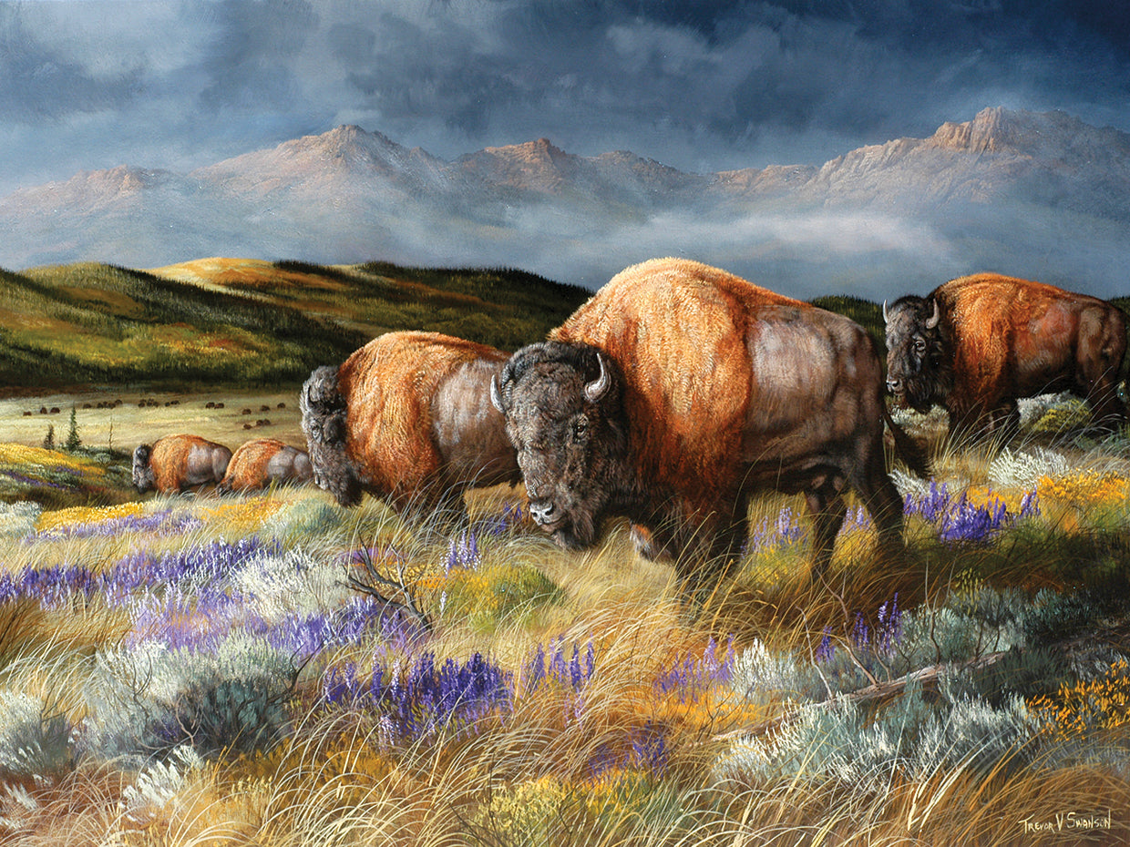 Spring Storm's Passing